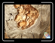 Arosa-Maladers * (10 Fotos)