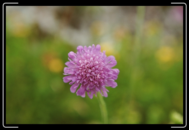 Letztes Bild erreicht