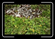 009_10A * 2088 x 1392 * (2.71MB)