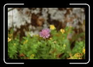 010_11A * 2088 x 1392 * (1.27MB)