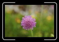 012_13A * 2088 x 1392 * (1.4MB)