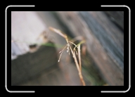 1-021_18A * 1800 x 1200 * (1.25MB)