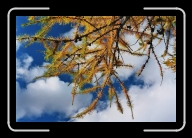 3-032_29A * 1800 x 1200 * (1.92MB)