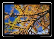 3-036_33A * 1800 x 1200 * (1.95MB)