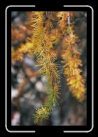 3-038_35A * 1200 x 1800 * (1.62MB)