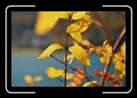 4-005_2A * 1800 x 1200 * (1.35MB)