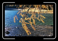 4-028_25A * 1800 x 1200 * (2.05MB)