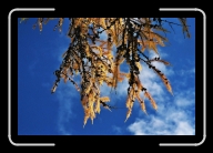 4-036_33A * 1800 x 1200 * (1.84MB)