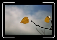 5-034_31A * 1800 x 1200 * (1.38MB)