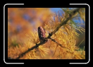 6-026_23A * 1800 x 1200 * (1.46MB)