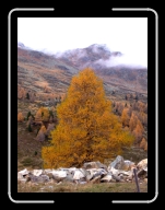 DSCF1570 * 2136 x 2848 * (1.07MB)