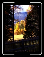 DSCF1578 * 2136 x 2848 * (1.08MB)