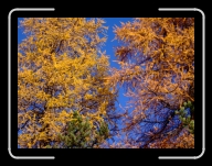 DSCF1580 * 2848 x 2136 * (2.98MB)