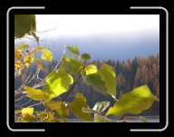 DSCF1600 * 2848 x 2136 * (2.99MB)