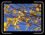 DSCF1602 * 2848 x 2136 * (2.94MB)