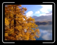 DSCF1604 * 2848 x 2136 * (3.18MB)