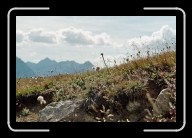 1-010_12 * 2088 x 1392 * (2.07MB)