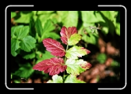 3-005_6A * 2088 x 1392 * (2.21MB)