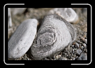 3-011_12A * 2088 x 1392 * (3.33MB)