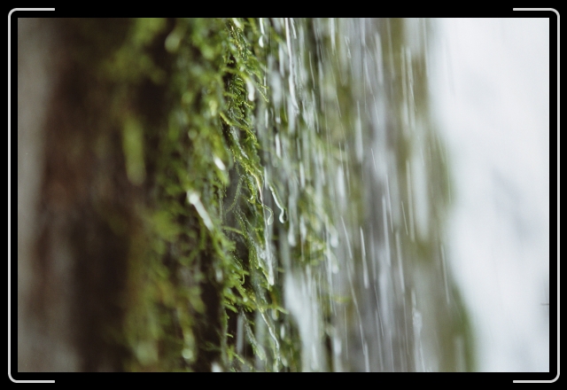 Letztes Bild erreicht