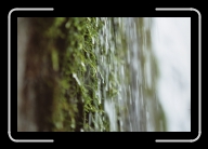 035_36A * 2088 x 1392 * (1.29MB)