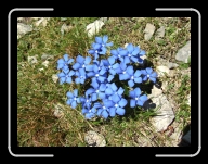 DSCF1306 * 2848 x 2136 * (3.05MB)