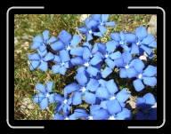 DSCF1307 * 2848 x 2136 * (2.97MB)