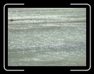 DSCF1338 * 2848 x 2136 * (3.2MB)