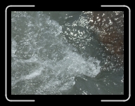 DSCF1344 * 2848 x 2136 * (3.01MB)