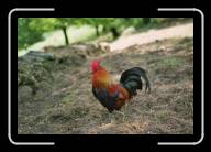 02-008_9A * Freilichtmuseum Poul Fetan, Morbihan * 2088 x 1392 * (1.81MB)