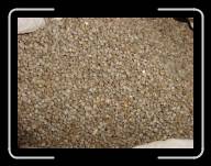 02-009_10Ac * Bl� noir (Buchweizen), Distillerie des Menhirs, Plomelin, Finisterre * 2048 x 1536 * (1.47MB)