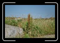 06-003_4 * Pointe du Millier, Finisterre * 2088 x 1392 * (2.14MB)
