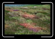 06-004_5 * Pointe du Millier, Finisterre * 2088 x 1392 * (2.15MB)
