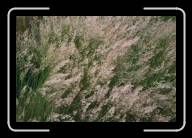 07-006_7 * Auf dem M�nez-Hom, Finisterre * 2088 x 1392 * (2.26MB)