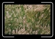 07-007_8 * Auf dem M�nez-Hom, Finisterre * 2088 x 1392 * (2.17MB)