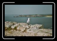 08-014_16 * Noch mehr von der Sorte..., Pointe de Penhir, Finisterre * 2088 x 1392 * (1.85MB)