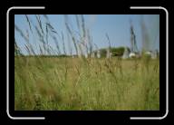 08-018_20 * L'Alignement de Toulinguet, Camaret-sur-Mer, Finisterre * 2088 x 1392 * (1.75MB)