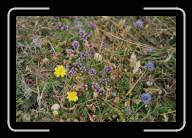 09-027_28A * Pointe de Pern, �le d'Ouessant, Finisterre * 2088 x 1392 * (1.95MB)