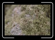 09-029_30A * Pointe de Pern, �le d'Ouessant, Finisterre * 2088 x 1392 * (1.75MB)