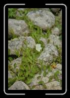 10-000_1A * Pointe de Pern, �le d'Ouessant, Finisterre * 1392 x 2088 * (462KB)