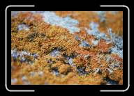 10-009_10A * Pointe de Pern, �le d'Ouessant, Finisterre * 2088 x 1392 * (2.11MB)