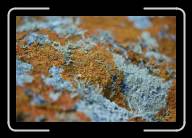 10-010_11A * Pointe de Pern, �le d'Ouessant, Finisterre * 2088 x 1392 * (2.03MB)