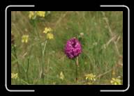 11-014_15A * Kerrema, Finisterre * 2088 x 1392 * (1.62MB)