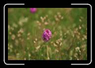 11-015_16A * Kerrema, Finisterre * 2088 x 1392 * (1.47MB)