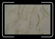 12-003_4 * Am Strand von Kerrema, Finisterre * 2088 x 1392 * (2.16MB)