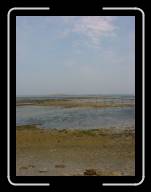 12-014_15a * Roscoff � mar�e basse, Finisterre * 1536 x 2048 * (1.35MB)