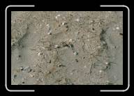 12-020_21 * Am Strand von St-Michel-en-Gr�ve, C�tes d'Armor * 2088 x 1392 * (2.66MB)