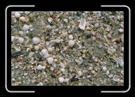 12-021_22 * Am Strand von St-Michel-en-Gr�ve, C�tes d'Armor * 2088 x 1392 * (2.44MB)