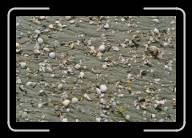 12-022_23 * Am Strand von St-Michel-en-Gr�ve, C�tes d'Armor * 2088 x 1392 * (2.58MB)