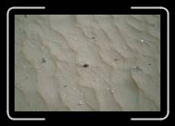 12-025_26 * Am Strand von St-Michel-en-Gr�ve, C�tes d'Armor * 2088 x 1392 * (2.32MB)